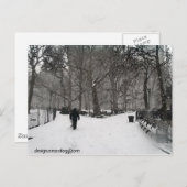 マディソンスクエアガーデン ポストカード (正面/裏面)