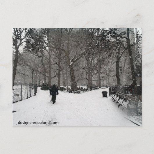 マディソンスクエアガーデン ポストカード (正面)