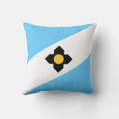 マディソン国旗（ウィスコンシン州） クッション (裏面)