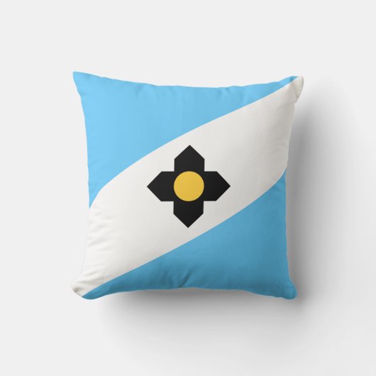 マディソン国旗（ウィスコンシン州） クッション (正面)