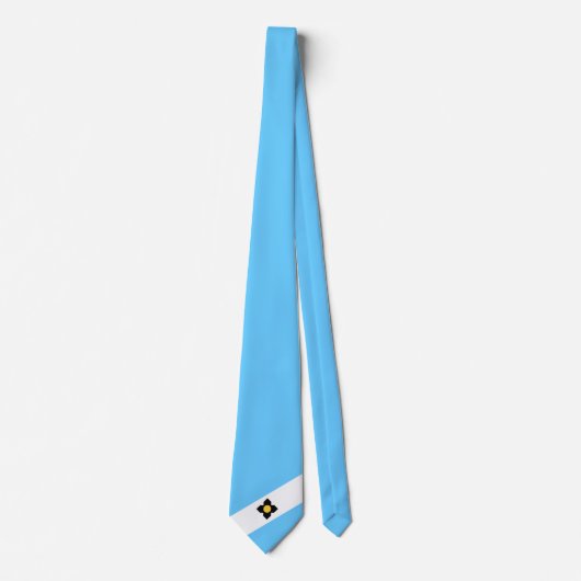 マディソン国旗(ウィスコンシン州) ネクタイ (正面)