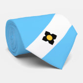 マディソン国旗(ウィスコンシン州) ネクタイ (ロール)