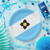 マディソン国旗(ウィスコンシン州) ペーパープレート (パーティー)