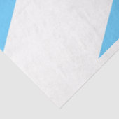 マディソン国旗（ウィスコンシン州） 薄葉紙 (詳細)