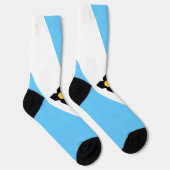 マディソン（ウィスコンシン）市旗 ソックス (右)