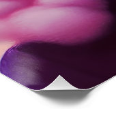 マディーピンクの髪 ポスター (コーナー)