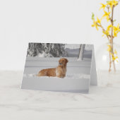 マディ雪 カード (黄色い花)