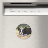 マディ マグネット (インサイチュ (食洗機))