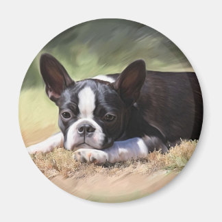 マディ マグネット