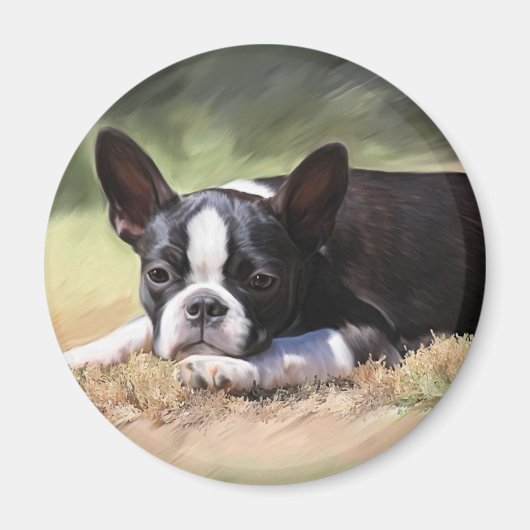 マディ マグネット (正面)