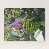 マデイラのバナナの木 ジグソーパズル (横)