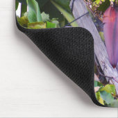 マデイラのバナナツリー マウスパッド (コーナー)