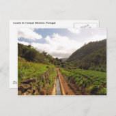 マデイラはがき ポストカード (正面/裏面)