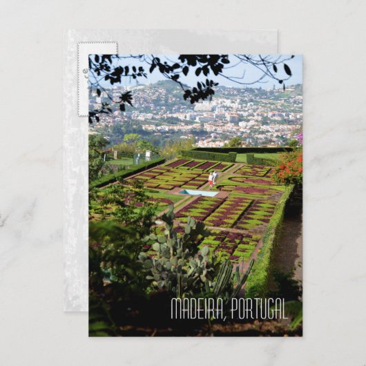 マデイラファンシャル植物園土産 ポストカード (正面/裏面)