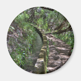 マデイラロードウェイ マグネット