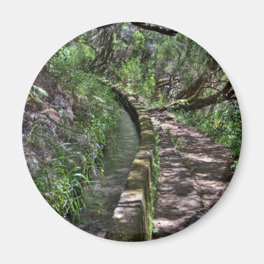 マデイラロードウェイ マグネット (正面)