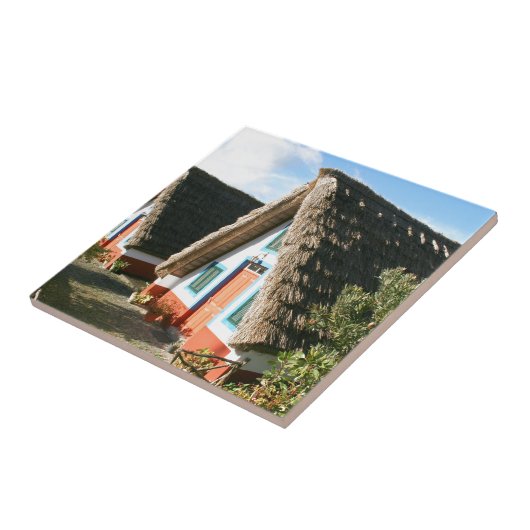 マデイラ島の写真とサンタナの典型的な家 タイル (側面)
