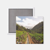 マデイラ磁石 – レバダドカニサル マグネット (正面/裏面)