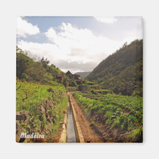 マデイラ磁石 – レバダドカニサル マグネット