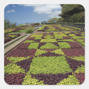 マデイラ諸島フンシャル植物園, スクエアシール