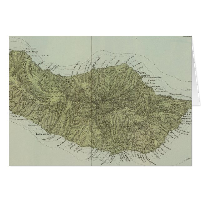 マデイラ (正面横)