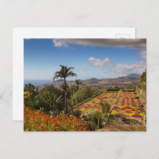マデイラ – ファンカル葉書の植物園 ポストカード (正面/裏面)