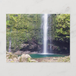 マデイラ – レバダドカルデイラオベルデポストカード ポストカード