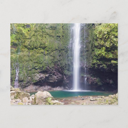 マデイラ – レバダドカルデイラオベルデポストカード ポストカード (正面)