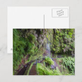 マデイラ – レバダ・ド・レイ葉書 ポストカード (正面/裏面)