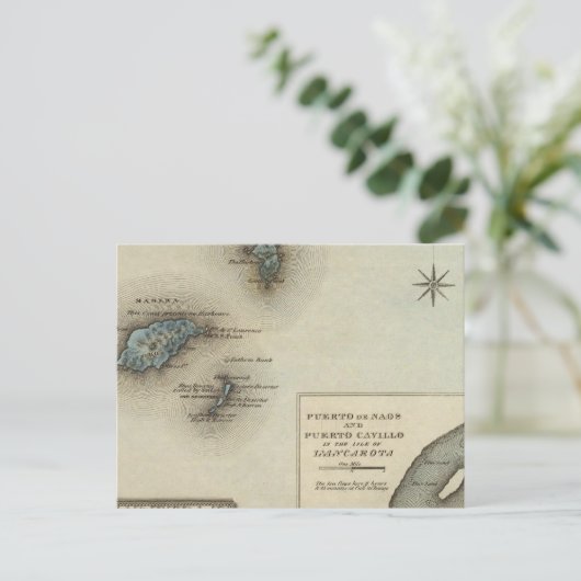 マデイラIDS ポストカード (スタンド正面)