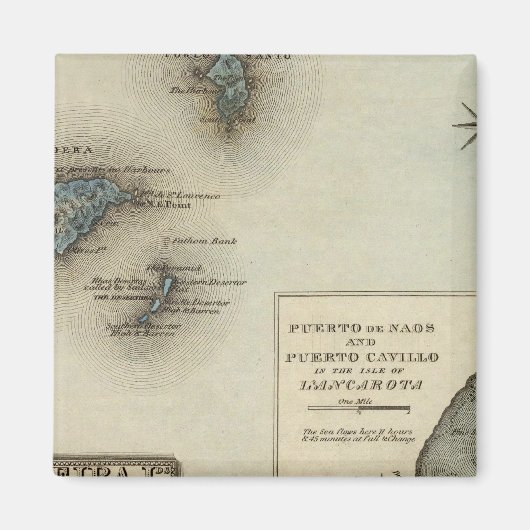 マデイラIDS マグネット (正面)