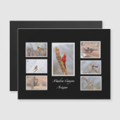 マデラ・キャニオン・アリゾナの鳥 (正面/裏面)