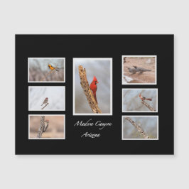 マデラ・キャニオン・アリゾナの鳥