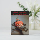 マデリアビーチ、フロリダゲーターグリーティングポストカード ポストカード (スタンド正面)