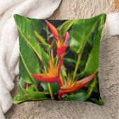 マデリーンEllis著極楽鳥 クッション (ブランケット)