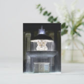 マデルノの噴水セントピーターズスクエア – はがき (スタンド正面)