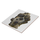 マトリックスのSpessartite タイル (側面)