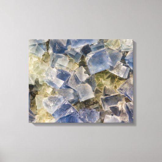 マトリックス中の青色蛍石の結晶 キャンバスプリント (正面)
