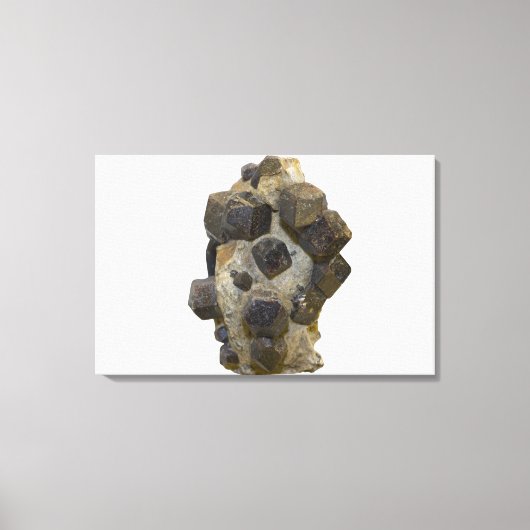 マトリックス内の特殊属性 キャンバスプリント (正面)