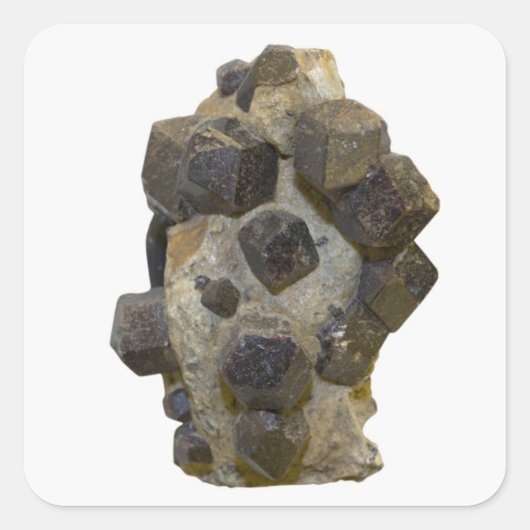 マトリックス内の特殊属性 スクエアシール (正面)