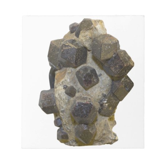 マトリックス内の特殊属性 ノートパッド (正面)