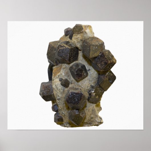 マトリックス内の特殊属性 ポスター (正面)