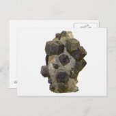 マトリックス内の特殊属性 ポストカード (正面/裏面)