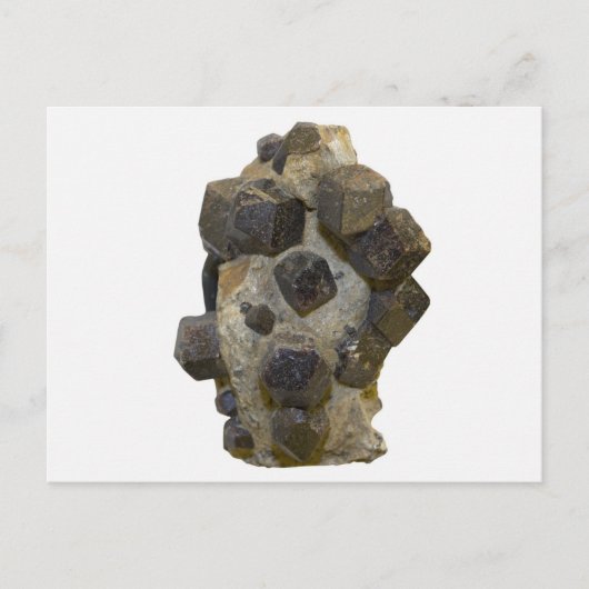 マトリックス内の特殊属性 ポストカード (正面)