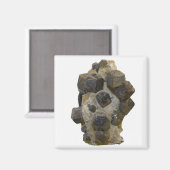 マトリックス内の特殊属性 マグネット (正面/裏面)