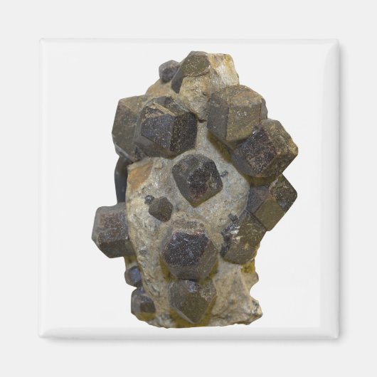 マトリックス内の特殊属性 マグネット (正面)