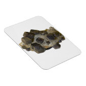 マトリックス内の特殊属性 マグネット (右側)