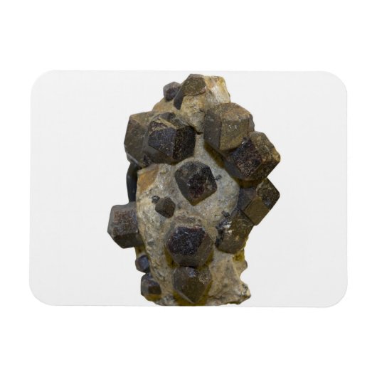 マトリックス内の特殊属性 マグネット (横)