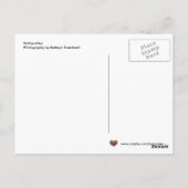 マトリヨシュカウクライナフォークアート ポストカード (裏面)