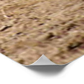 マトン・バスターは彼の勇気を試す ポスター (角)